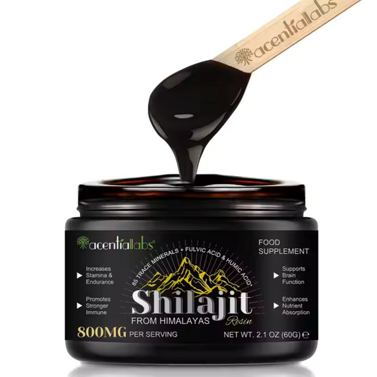 Shilajit Original Himalaya Bio, 60g Shilajit Resin Pures Himalaya Shilajit